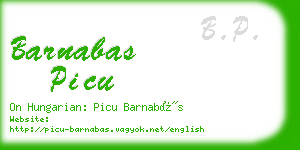 barnabas picu business card